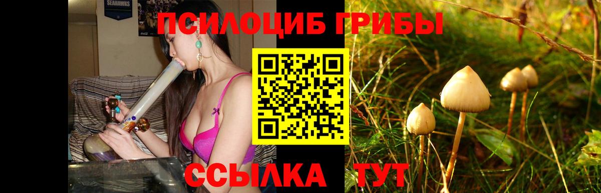 Мурино  где можно купить   Вход с VPN  Псилоцибиновые грибы Magic Shrooms 